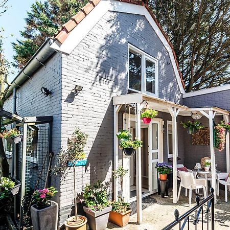 Kuestenwind Zandvoort Zewnętrze zdjęcie